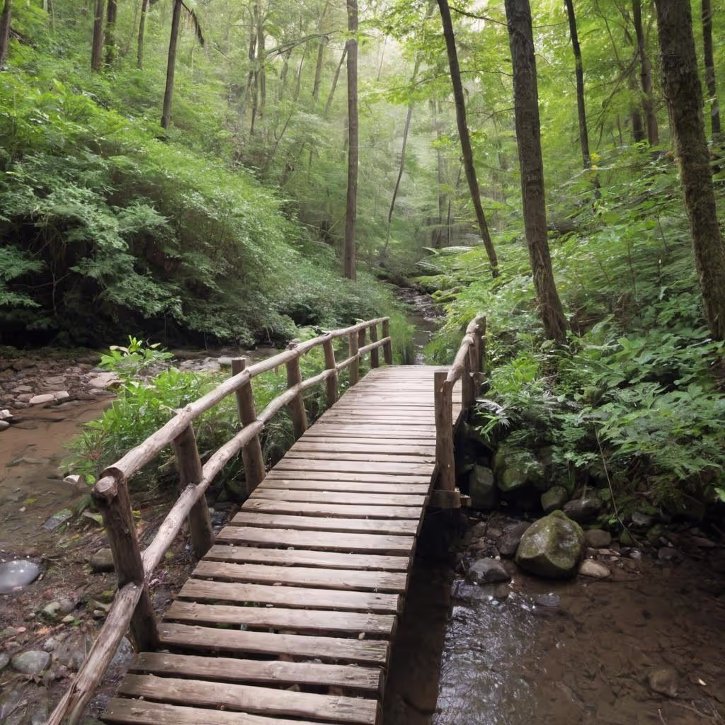 Wooden Bridge