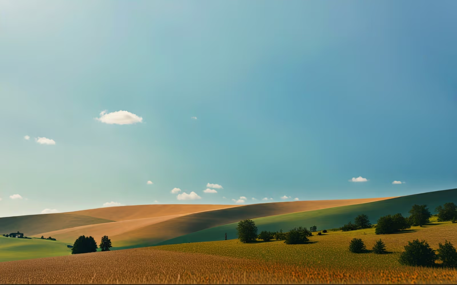 Change Image to Summer Season