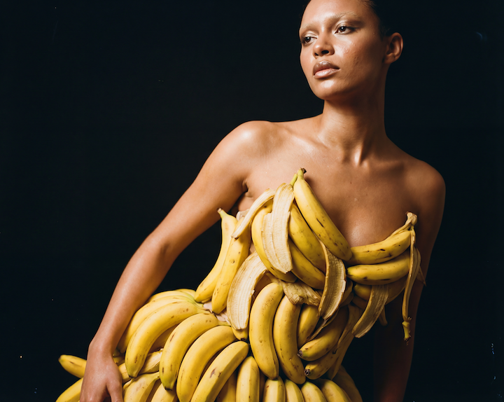 The Nano Banana 2 Handbook