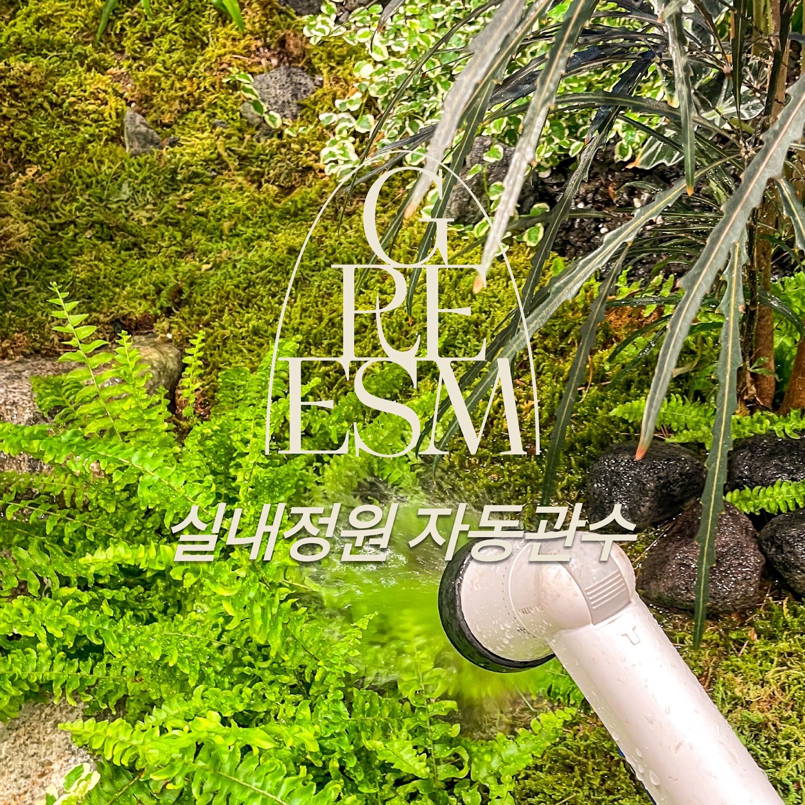 Landscape Design
