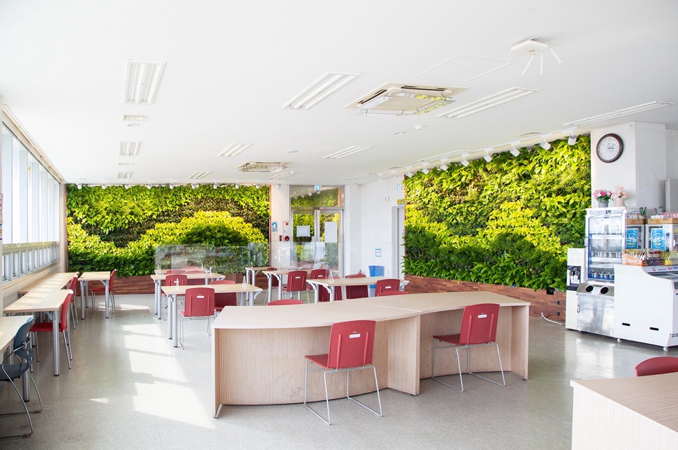 Landscape Design