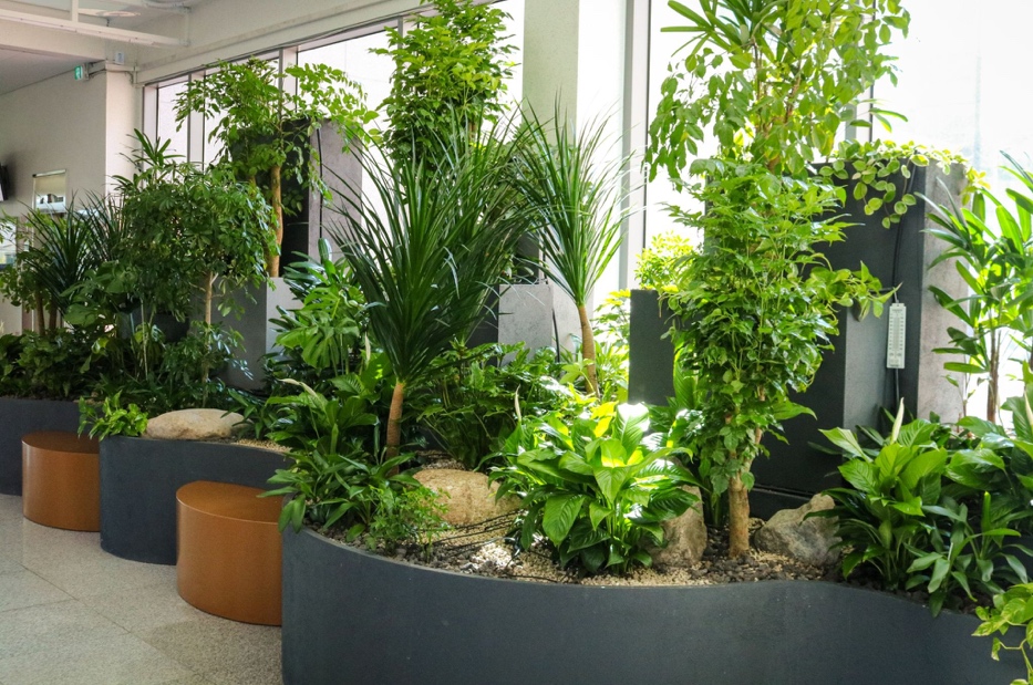 Landscape Design