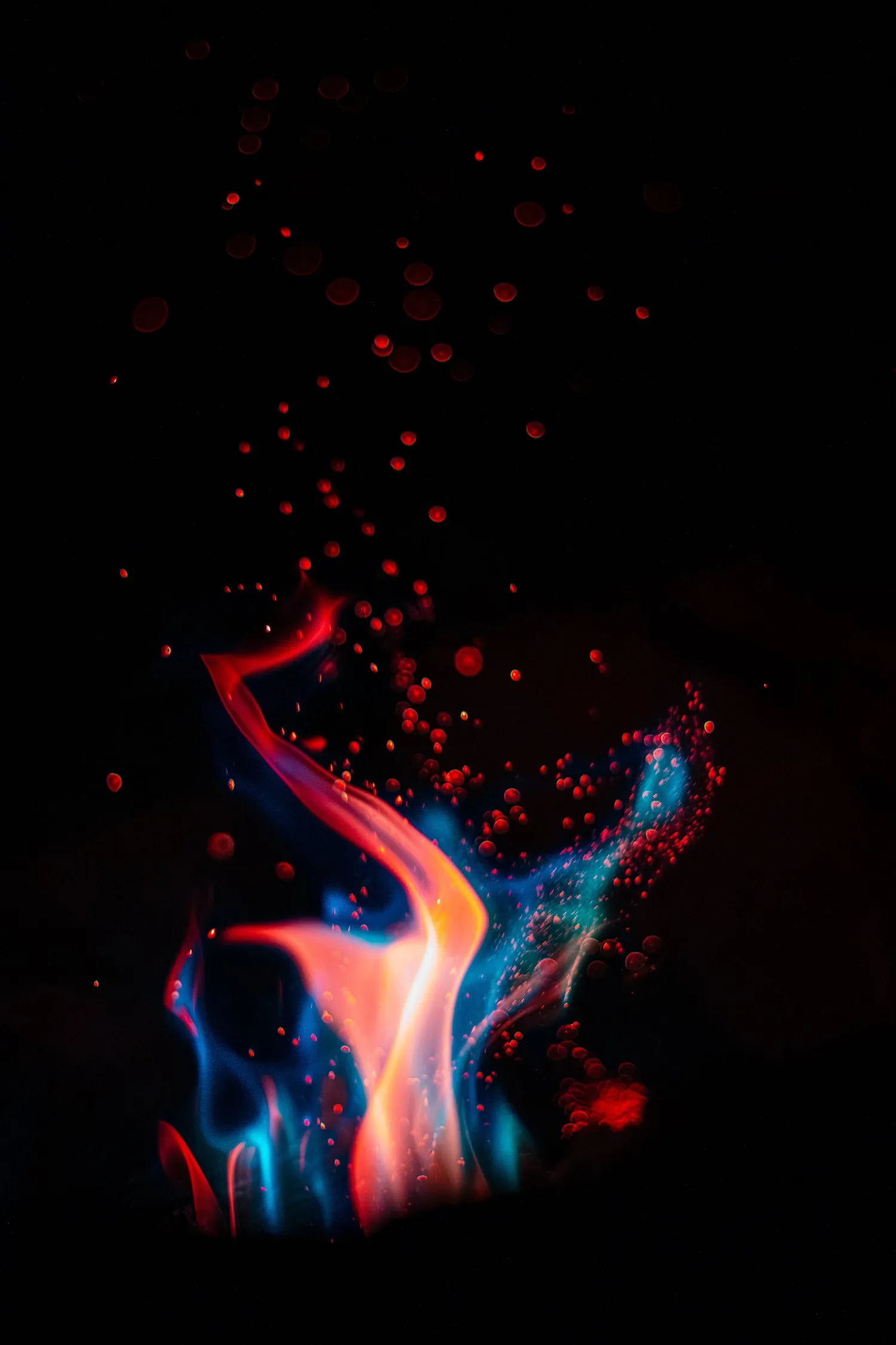 First Love Fire
