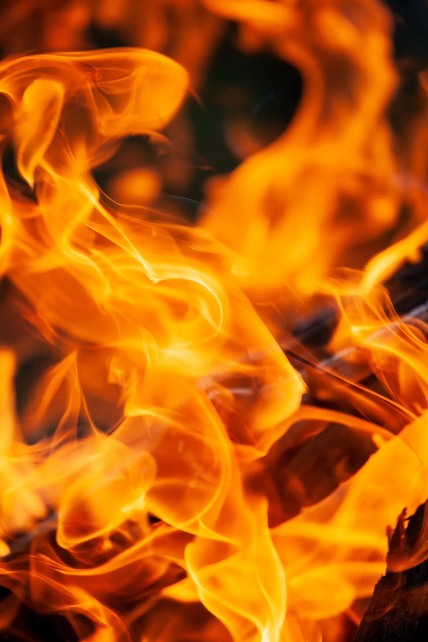 In The Face Of Fire