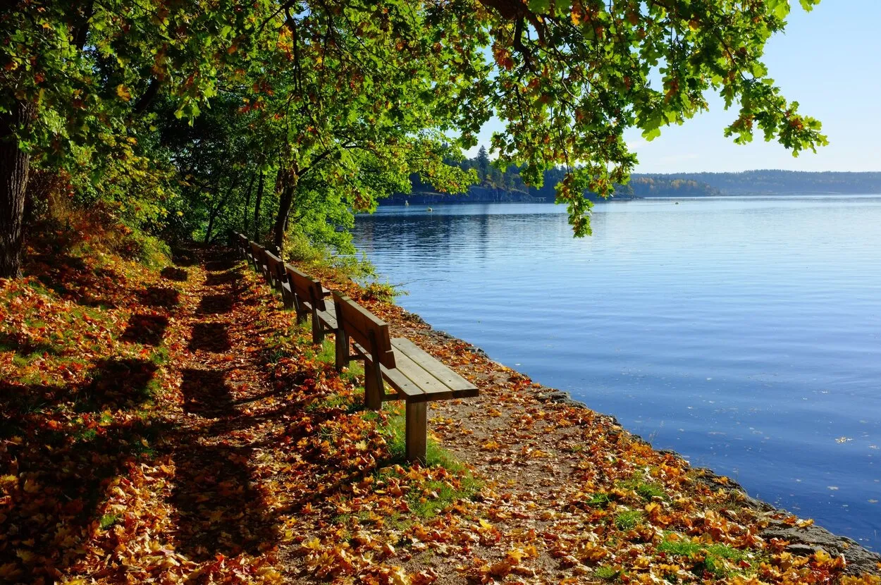 Waiting In Silence