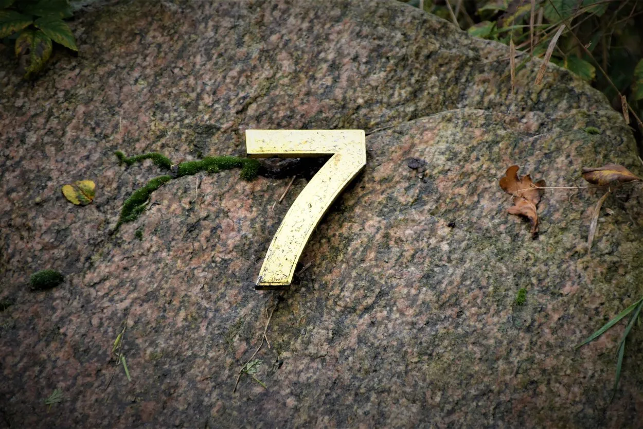 Seven Lives