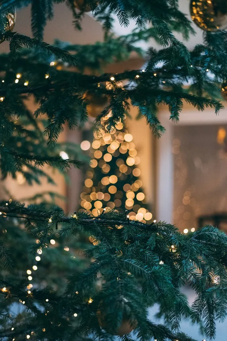 Silent Night Stillness 