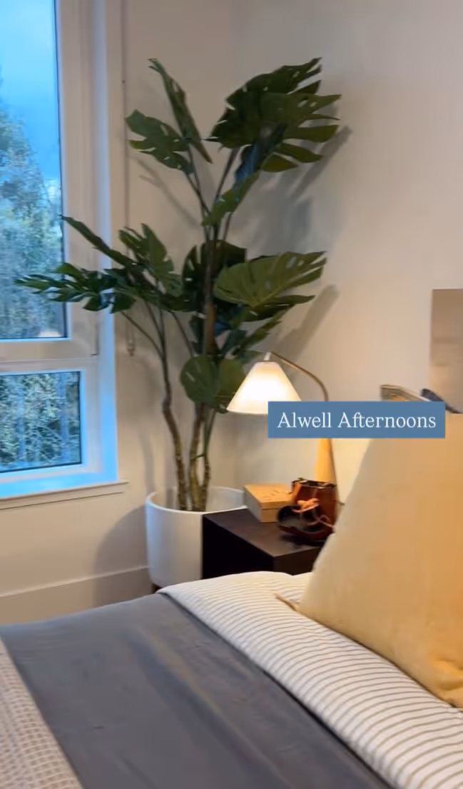 Bedroom with tree in corner and windows