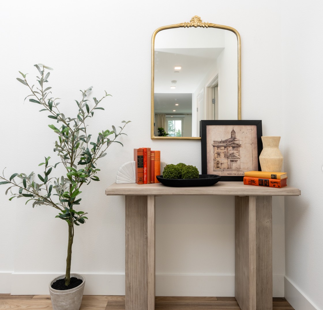 Entryway table with olive tree plant, and photos on table.