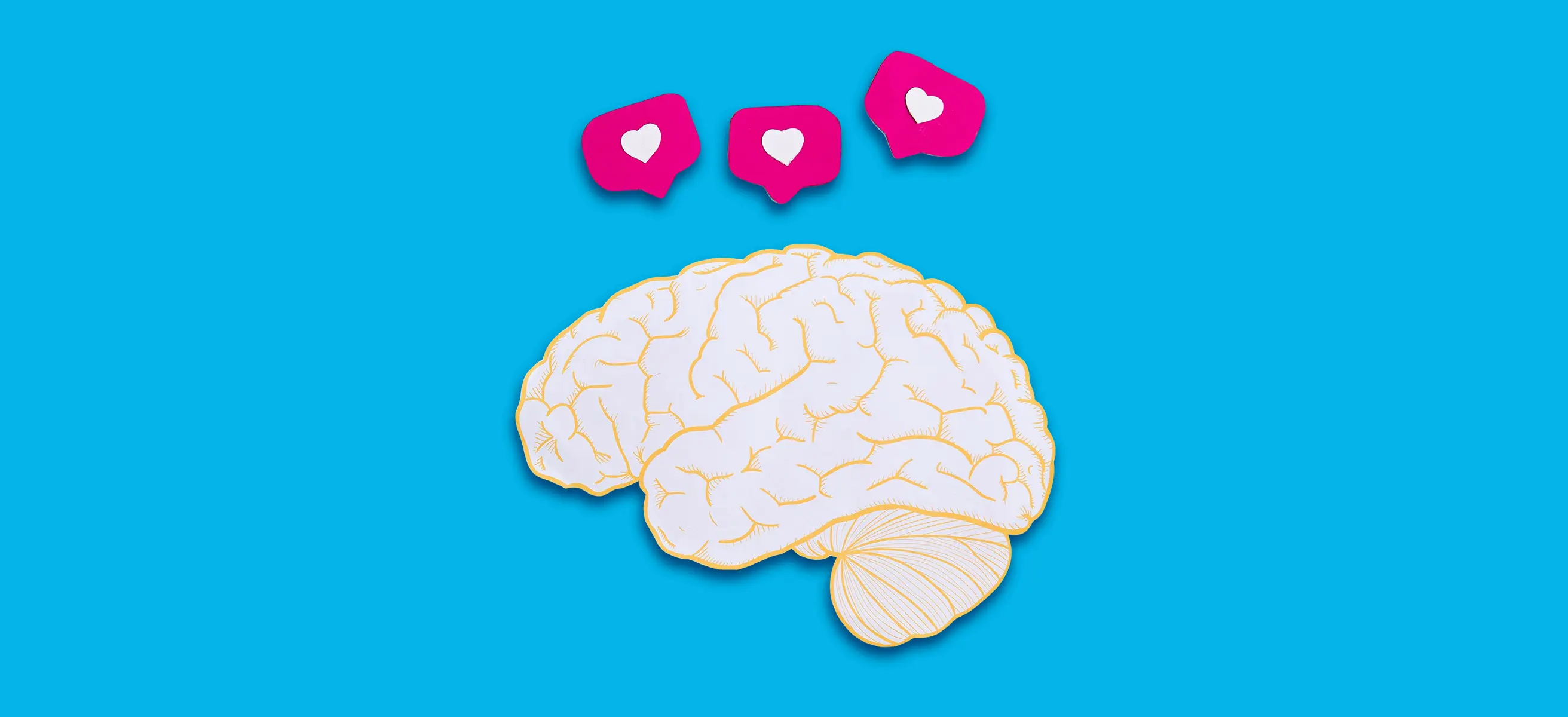 Insights Hub: Der zentrale Wissensort für Social Media Entscheider:innen