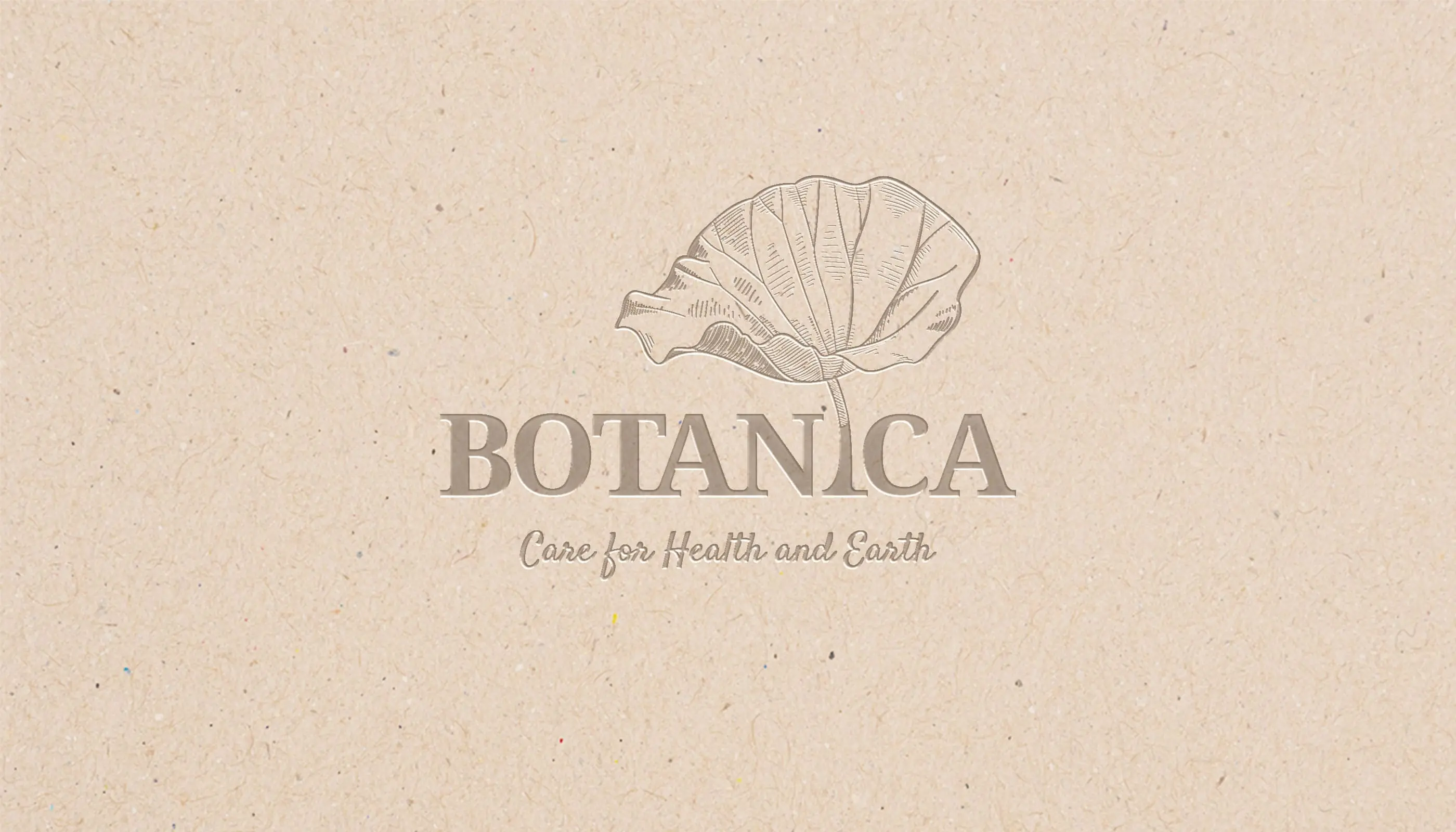разработка бренда эко-магазина botanica с нуля