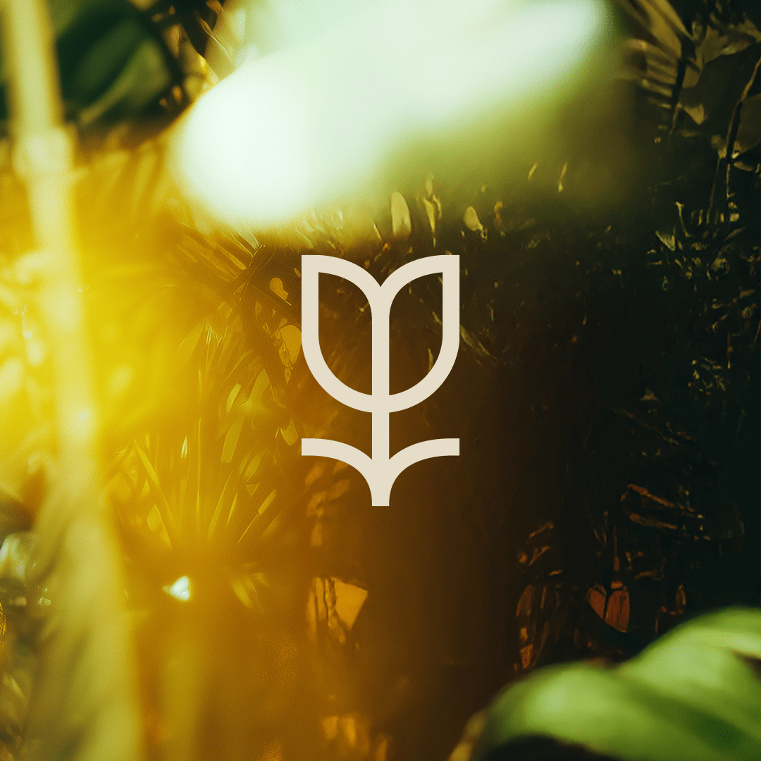 Event branding design for Garden Social