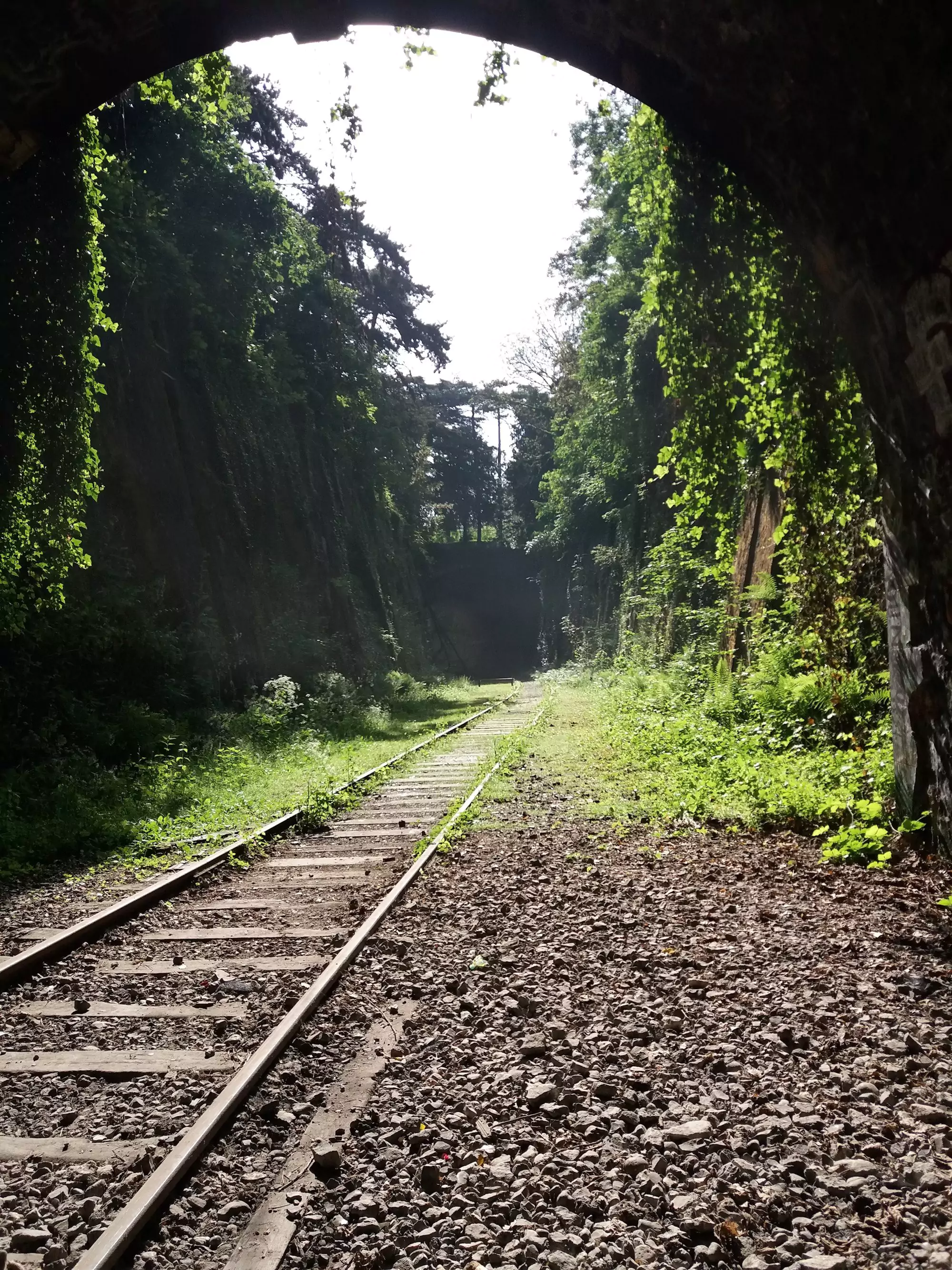Photo d'une chemin de fer passant dans une fôret. Photo prise par Kévin JINER