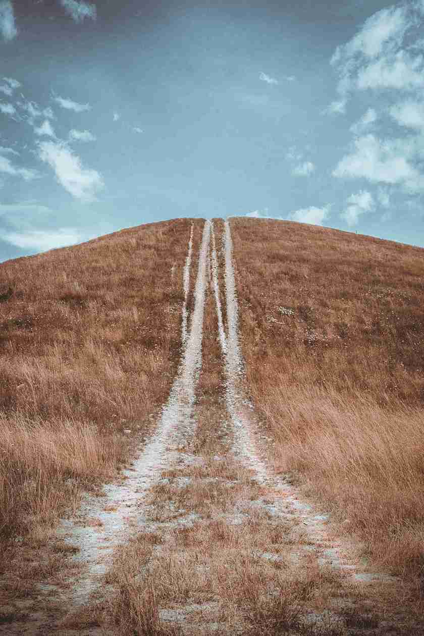 Path to top of hillby Louis Moncouyoux