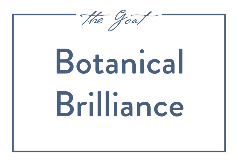 Botanical Brilliance Menu Tile