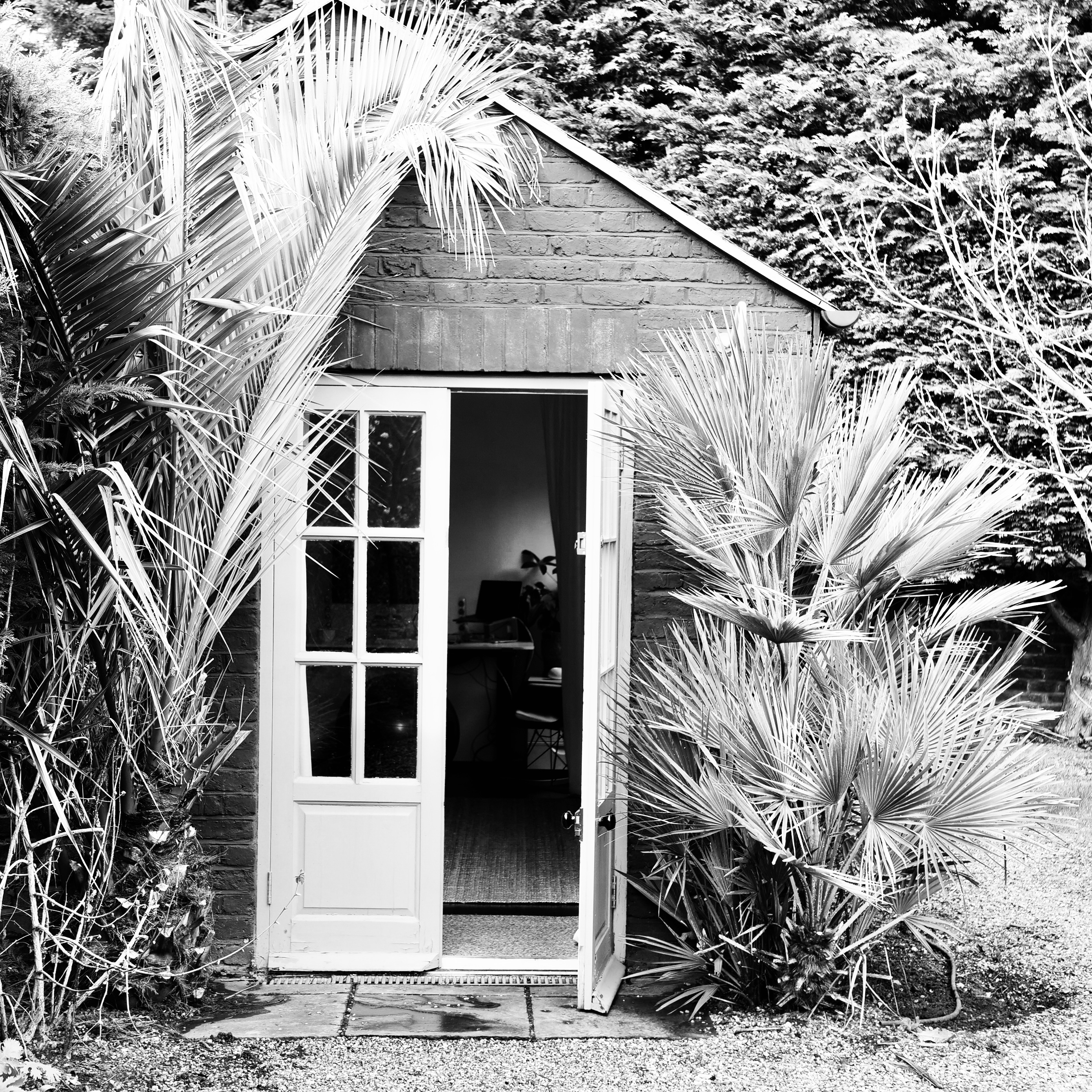 Open door of brick garden shed with tropical plants on each side and a glimpse of indoor workspace.