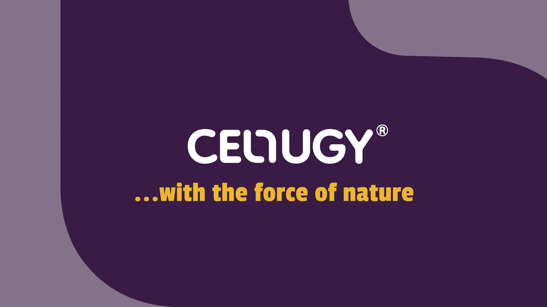 Building a brand as bold as their bio-cellulose