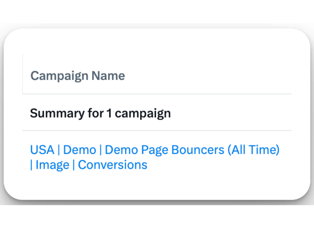 Detailed campaign overview for a Twitter Ad campaign targeting demo page bouncers with conversion focus ads, part of B2B retargeting strategy.