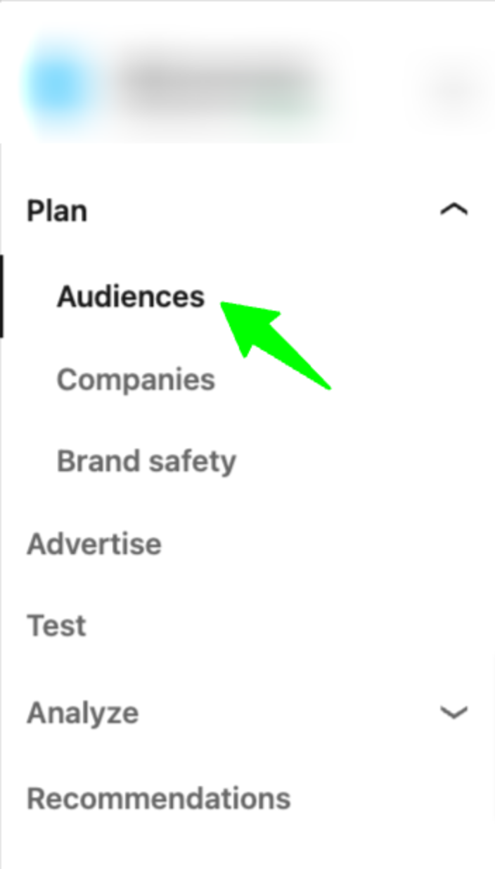 Screenshot of audiences tab in LinkedIn Campaign Manager