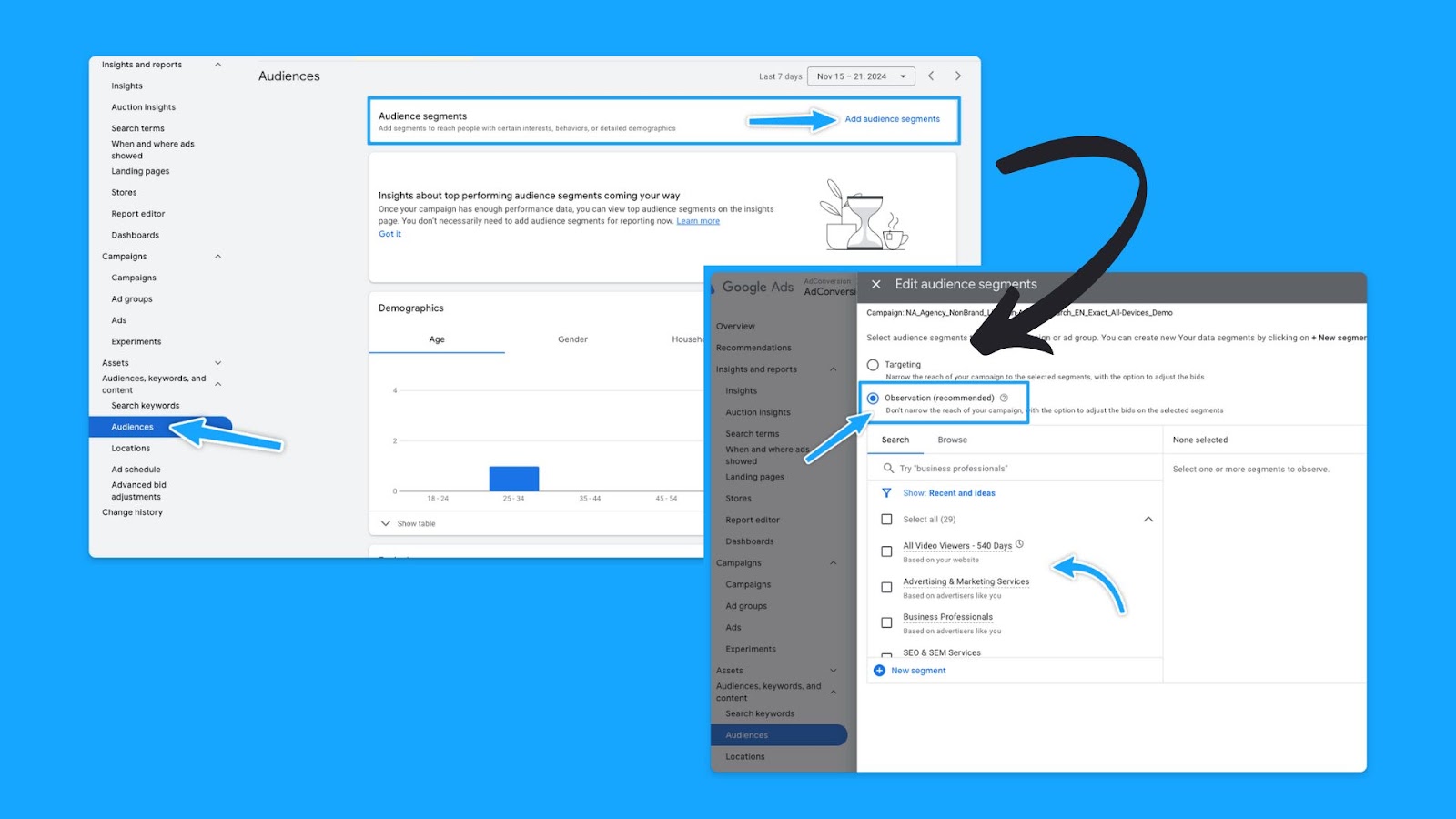 Google ads manager platform view showing which audience segments are being targeted in a campaign during a google ads auditd