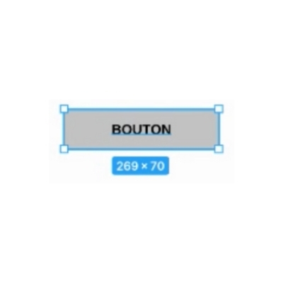 bouton selectionne