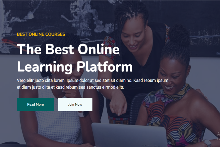 image of an SDG goal website