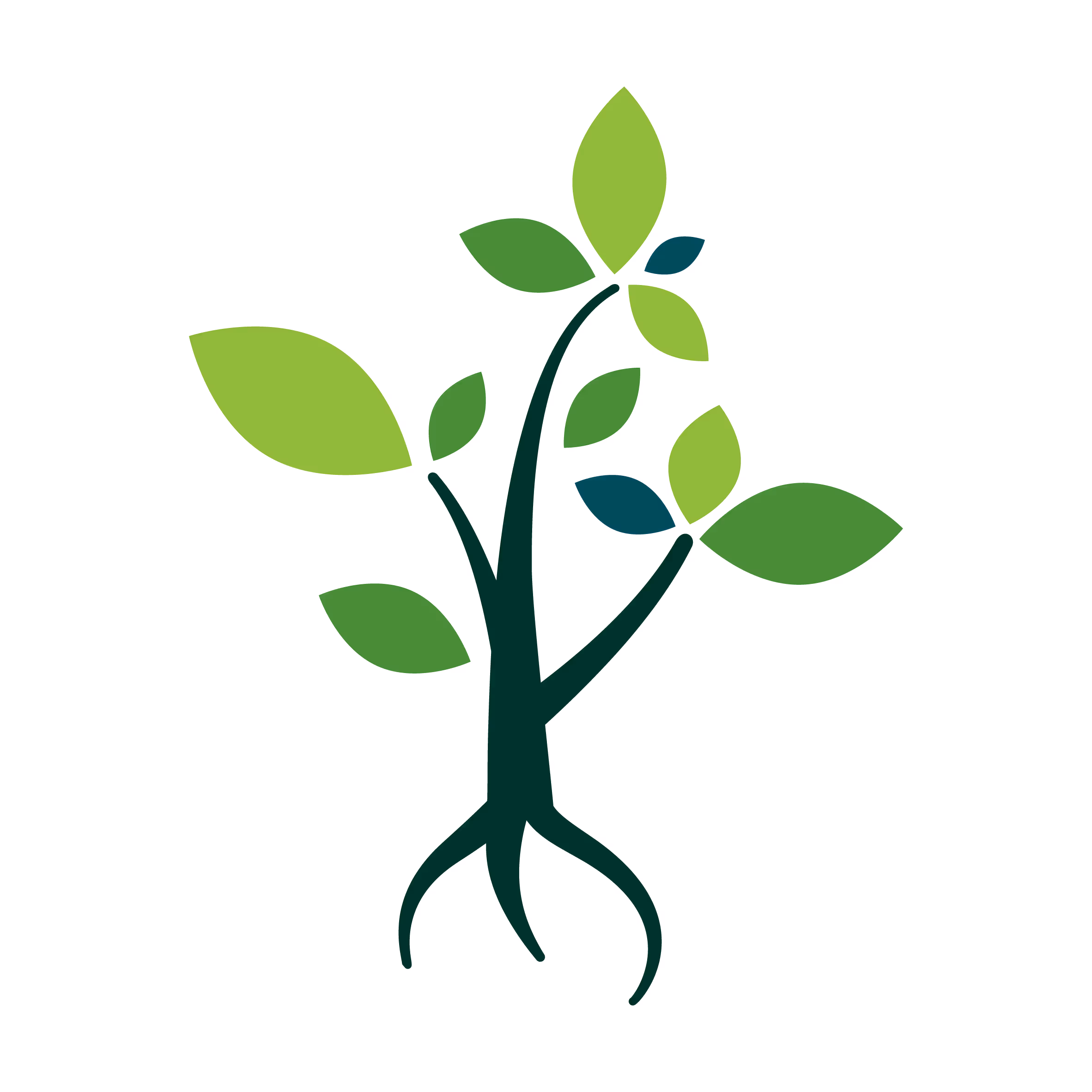 Morphum Culture