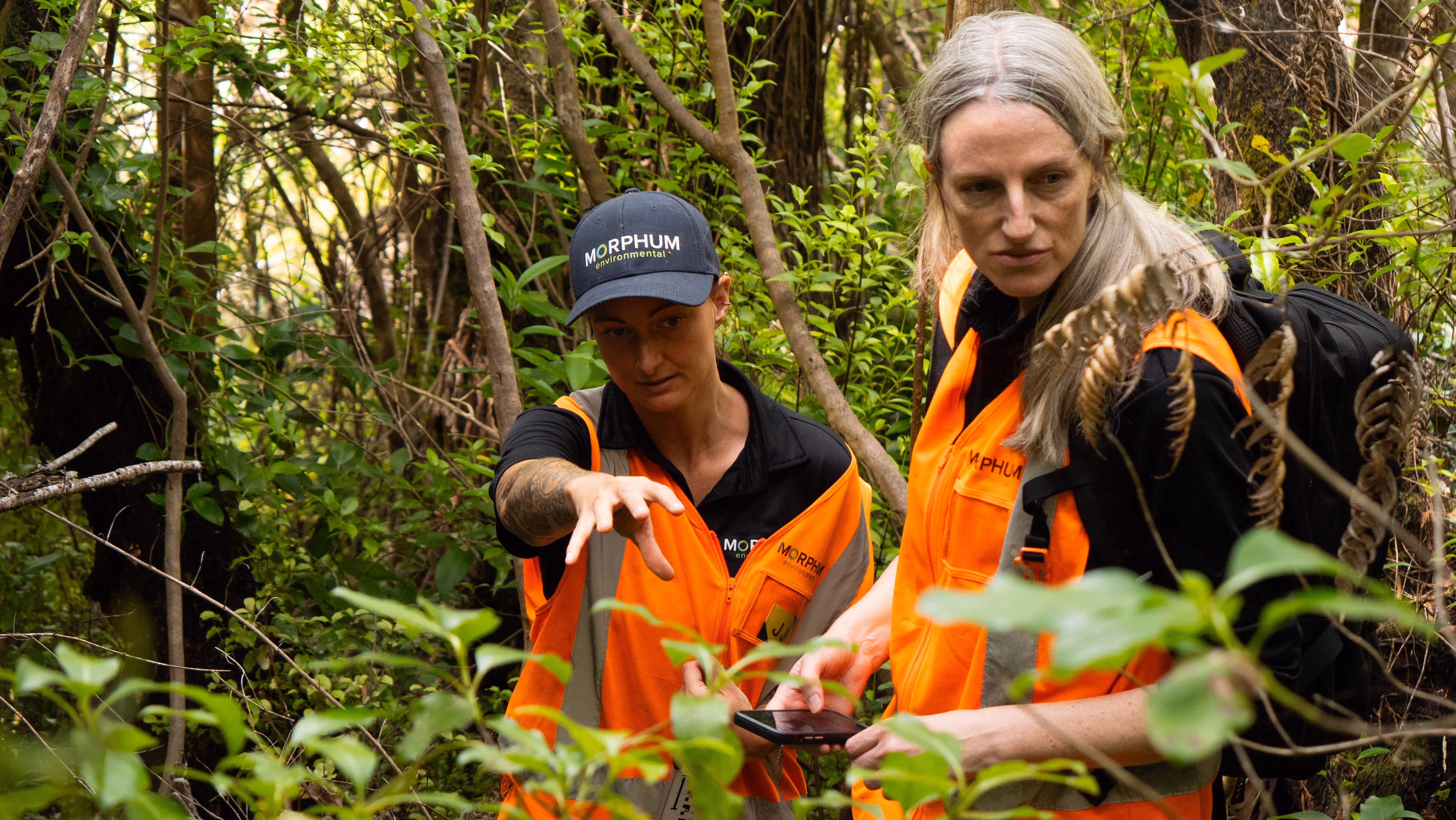 Stormwater infrastructure assessment in a dense native New Zealand forest