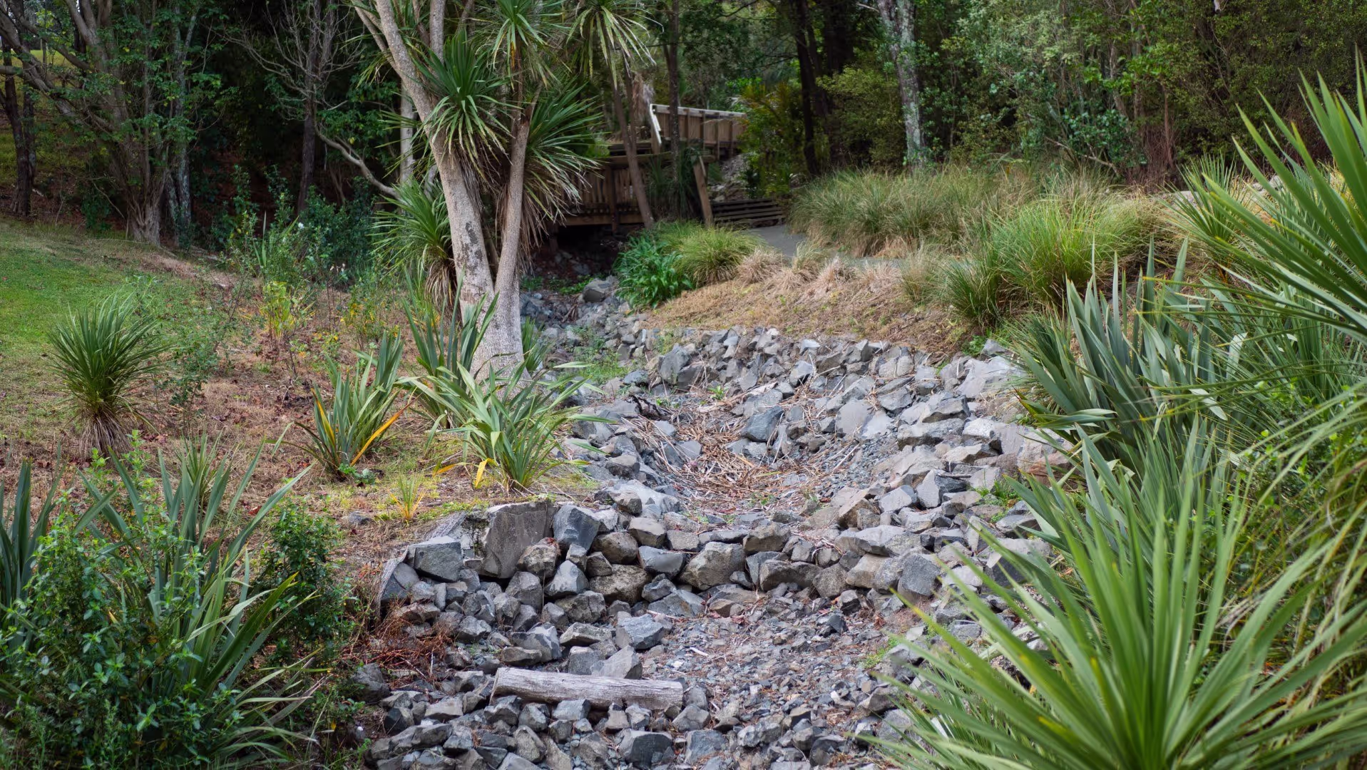 Nature-based stormwater outfall design for park & community use in Auckland