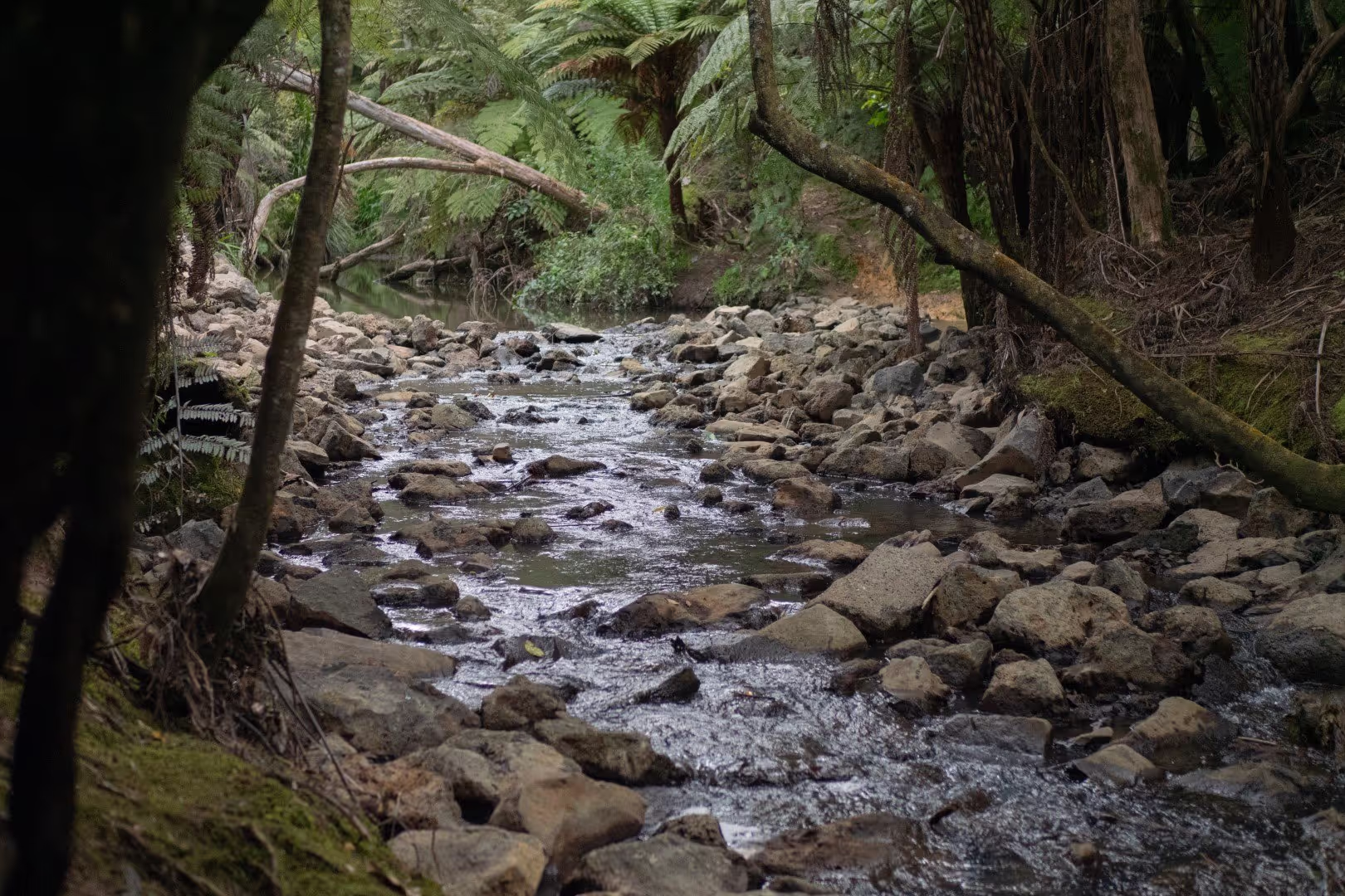 Fish passage streamworks design built to fix issues with native wildlife moving up and down river
