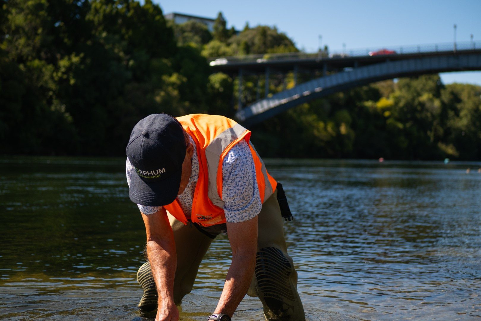 Morphum environmental scientist and in the Waikato River assessing invasive plant growth and water quality