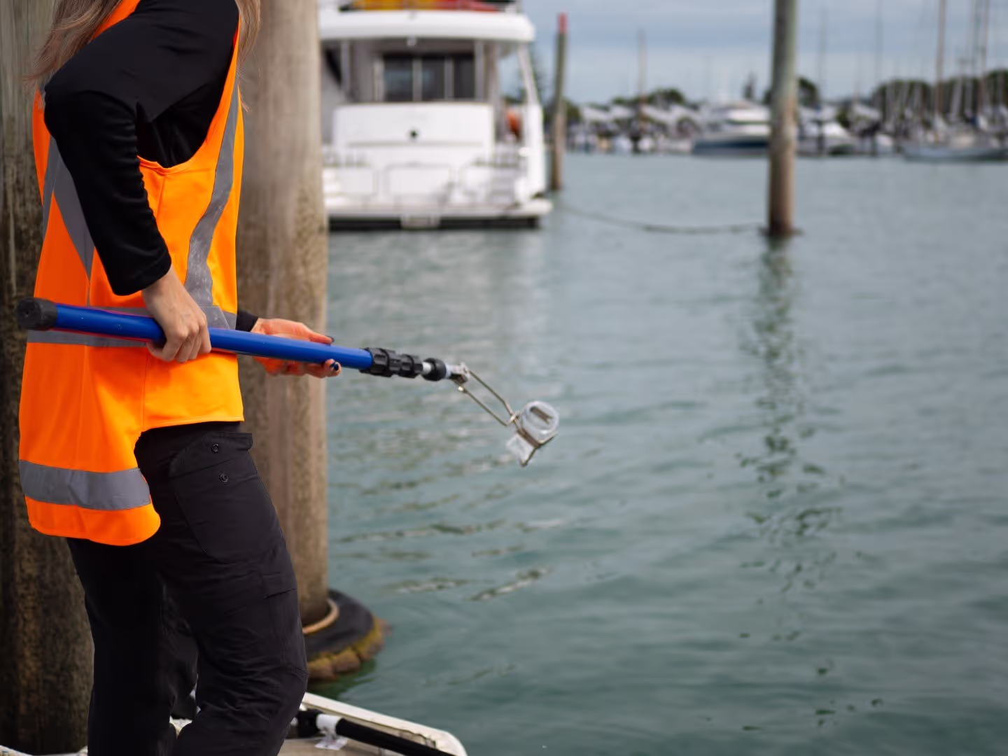 Scientist testing the water quality of a marina area for potential contamination from stormwater