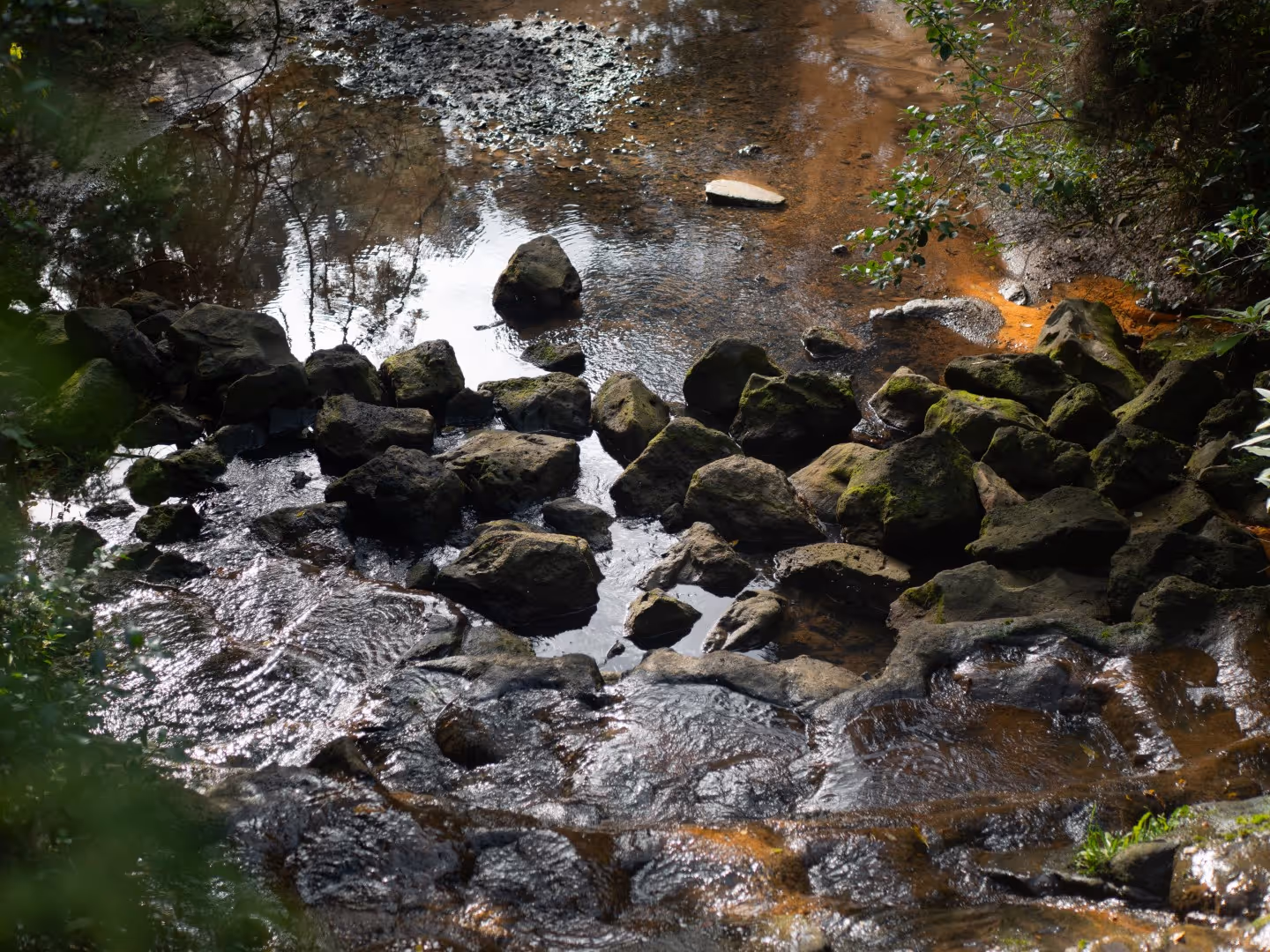 A custom fish passage remediation for a stream culvert project in Aotearoa New Zealand