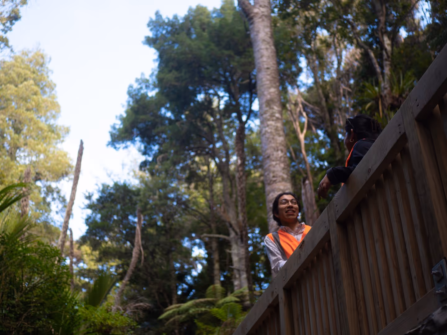 Two Morphum Environmental engineers assessing a stream stabilisation design site in a nature reserve in Aotearoa New Zealand