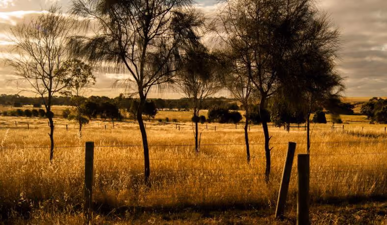 The rural pre-development landscape of the Golden Plains in Victoria, Australia where possible development may occur using the data from a complete infrastructure analysis and plan for sustainable development