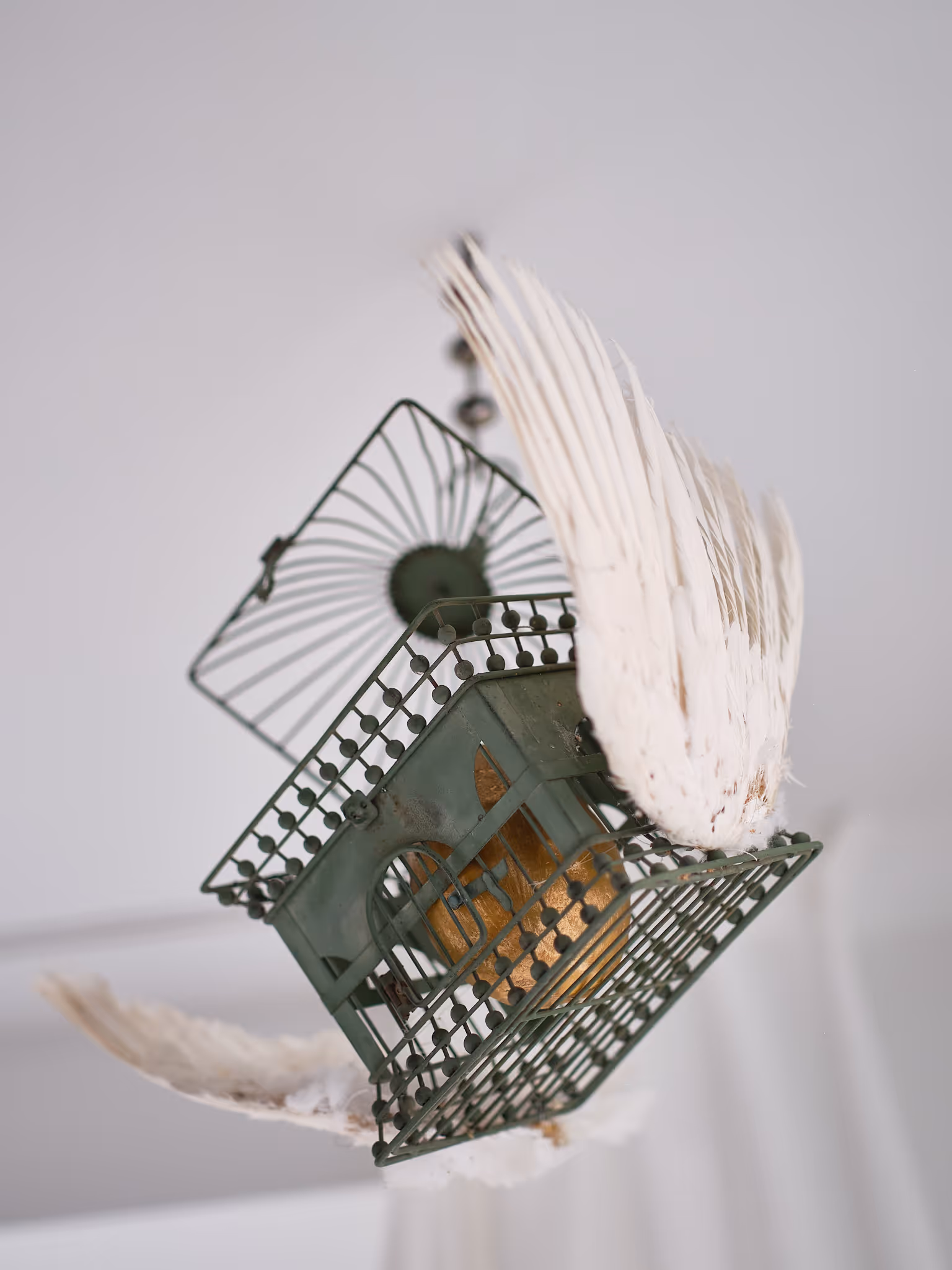 Art work in Antwerpen practice