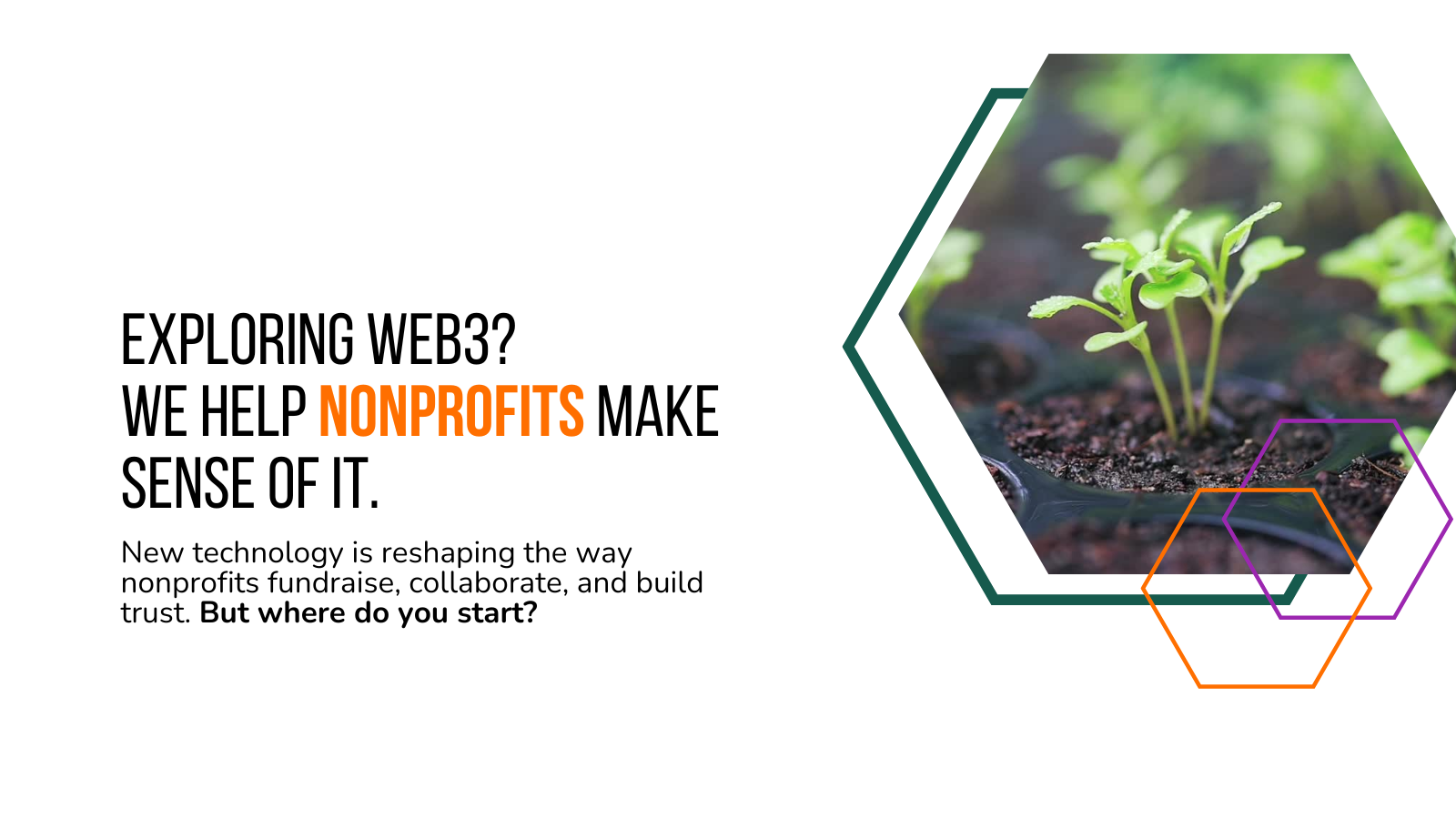 Exploring Web3? We help Nonprofits make sense of it. New technology is reshapiung the way nonprofits fundraise, collaborate, and build trust. But where do you start.