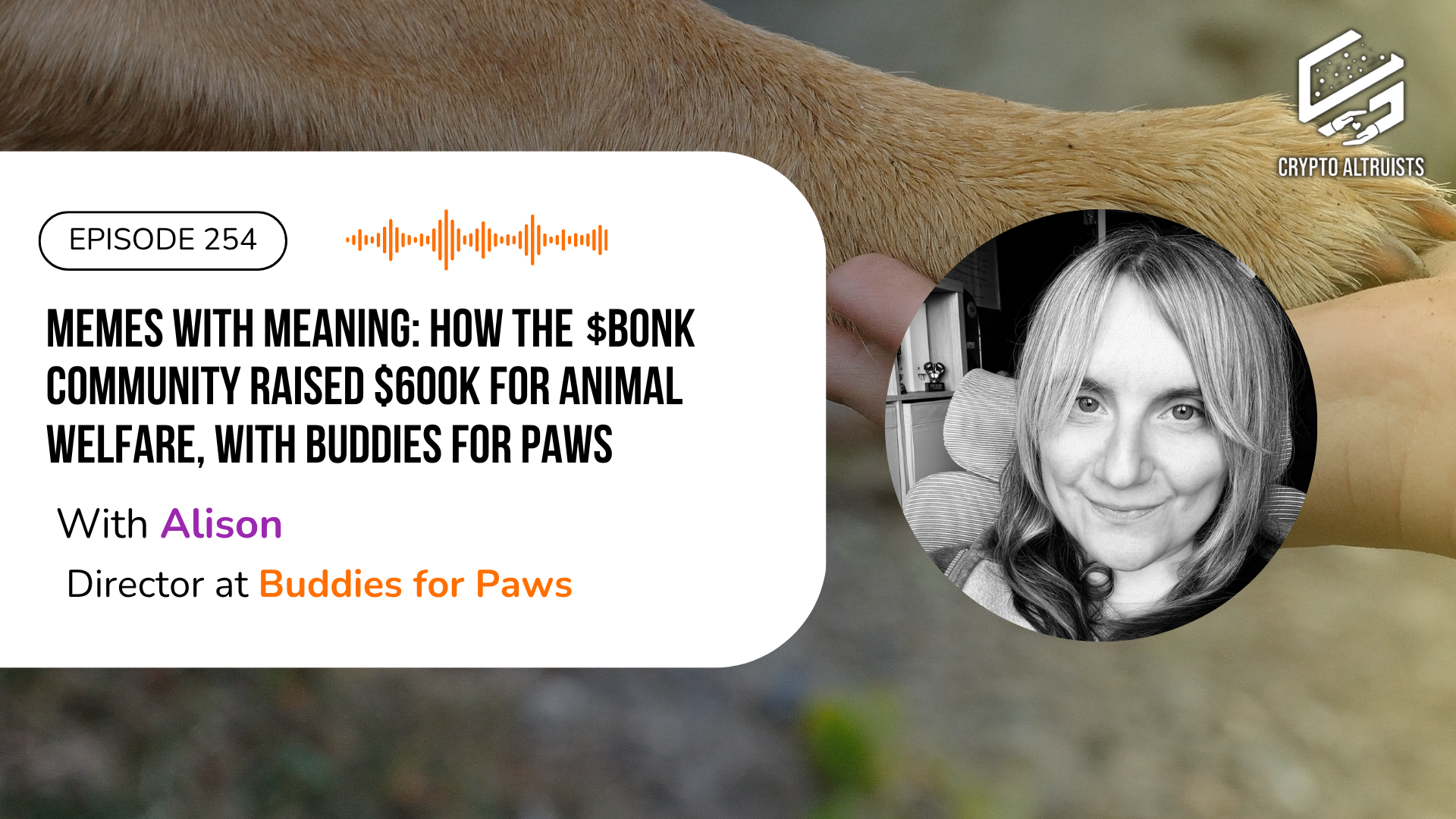 Memes with Meaning: How the $BONK Community Raised $600K for Animal Welfare, with Alison, Director at Buddies for Paws