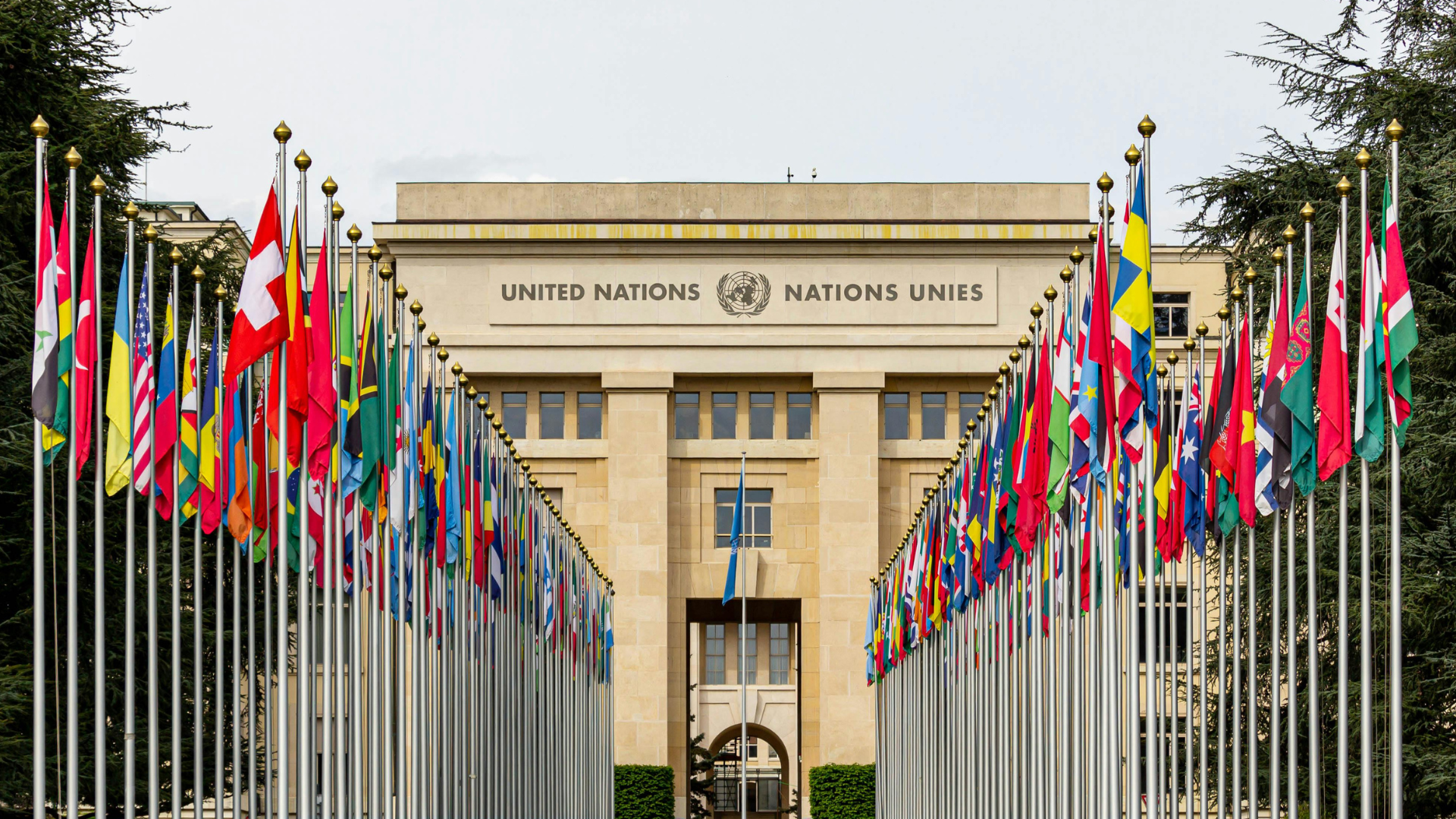 United nations building behind a series of international flags 