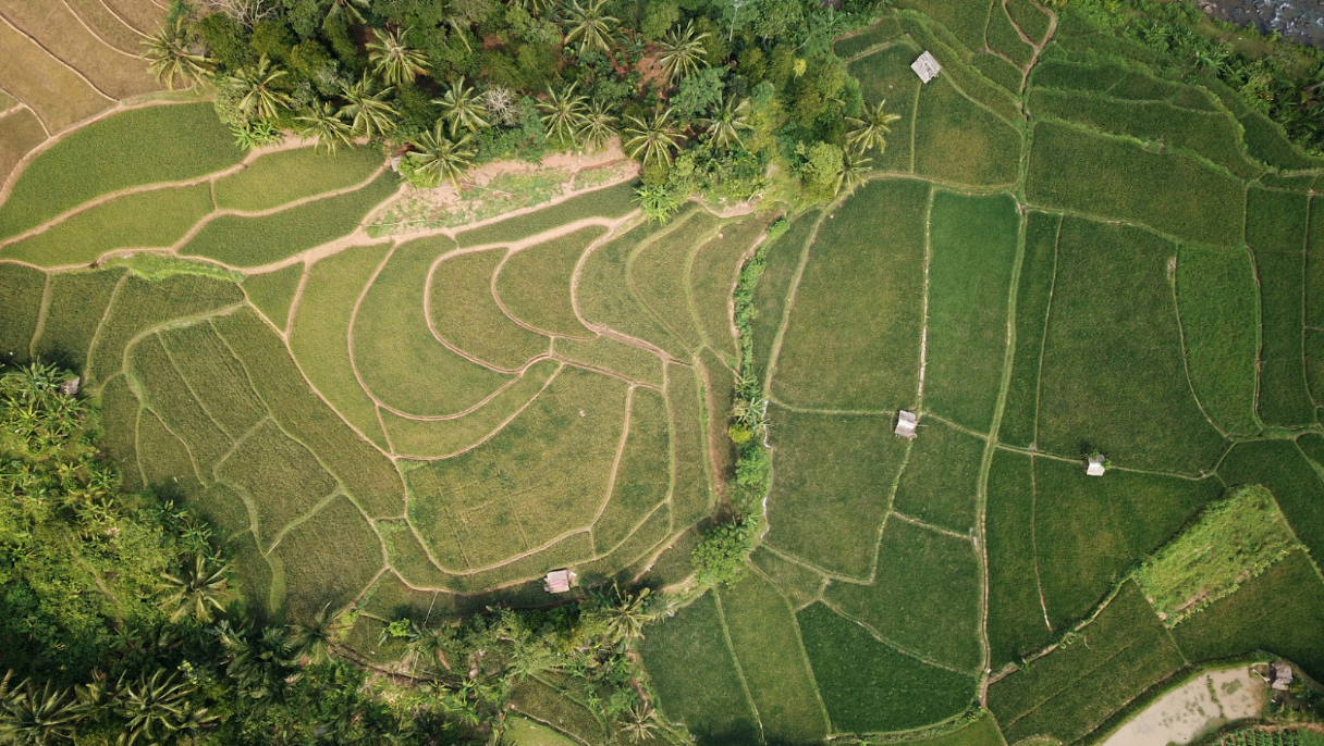 Birds eye view of plots of agricultural land