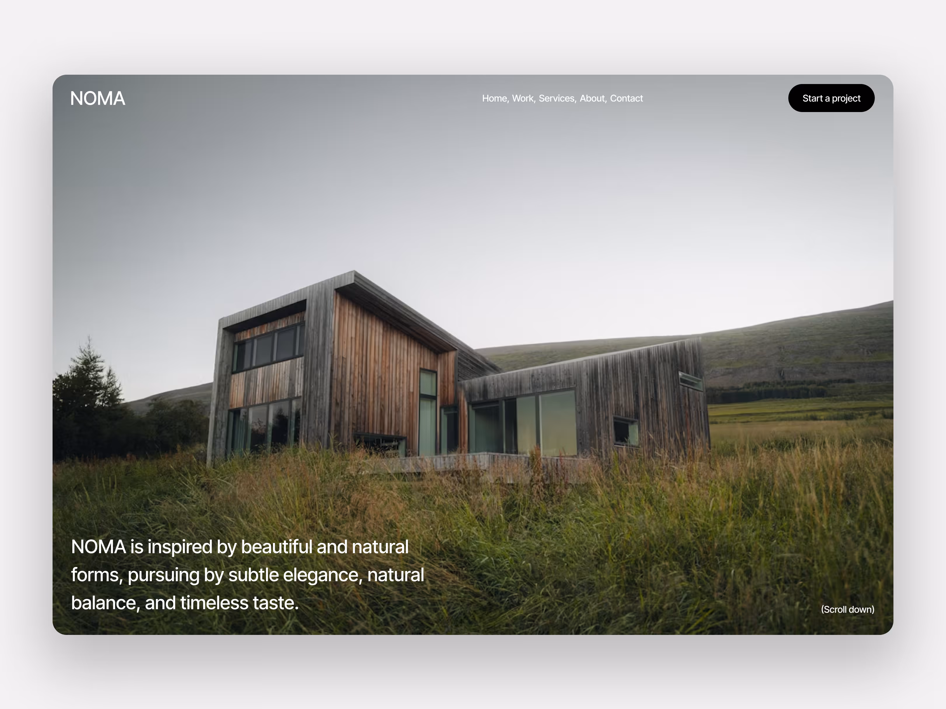 NOMA hero section 