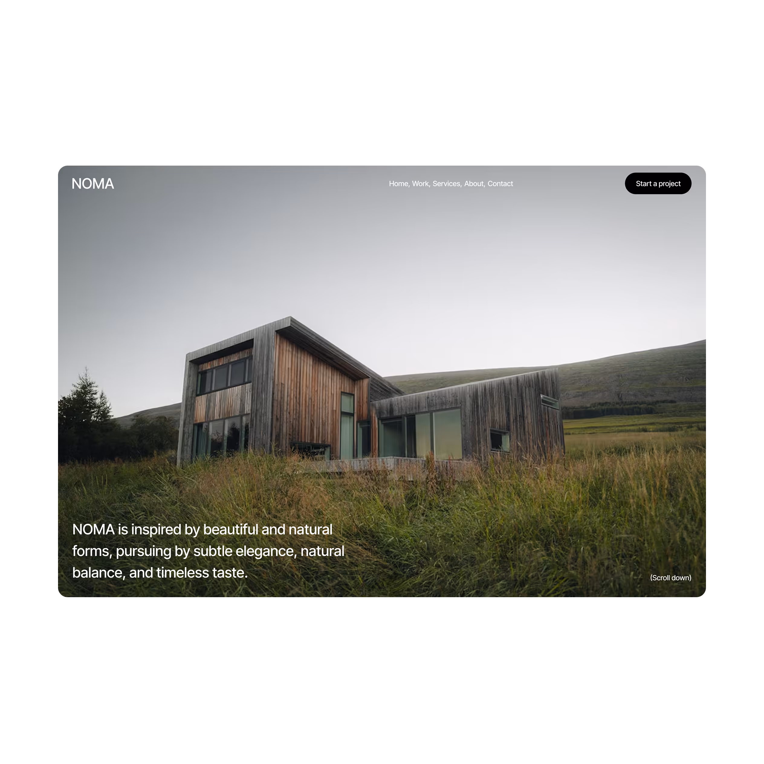 NOMA Thumbnail Square