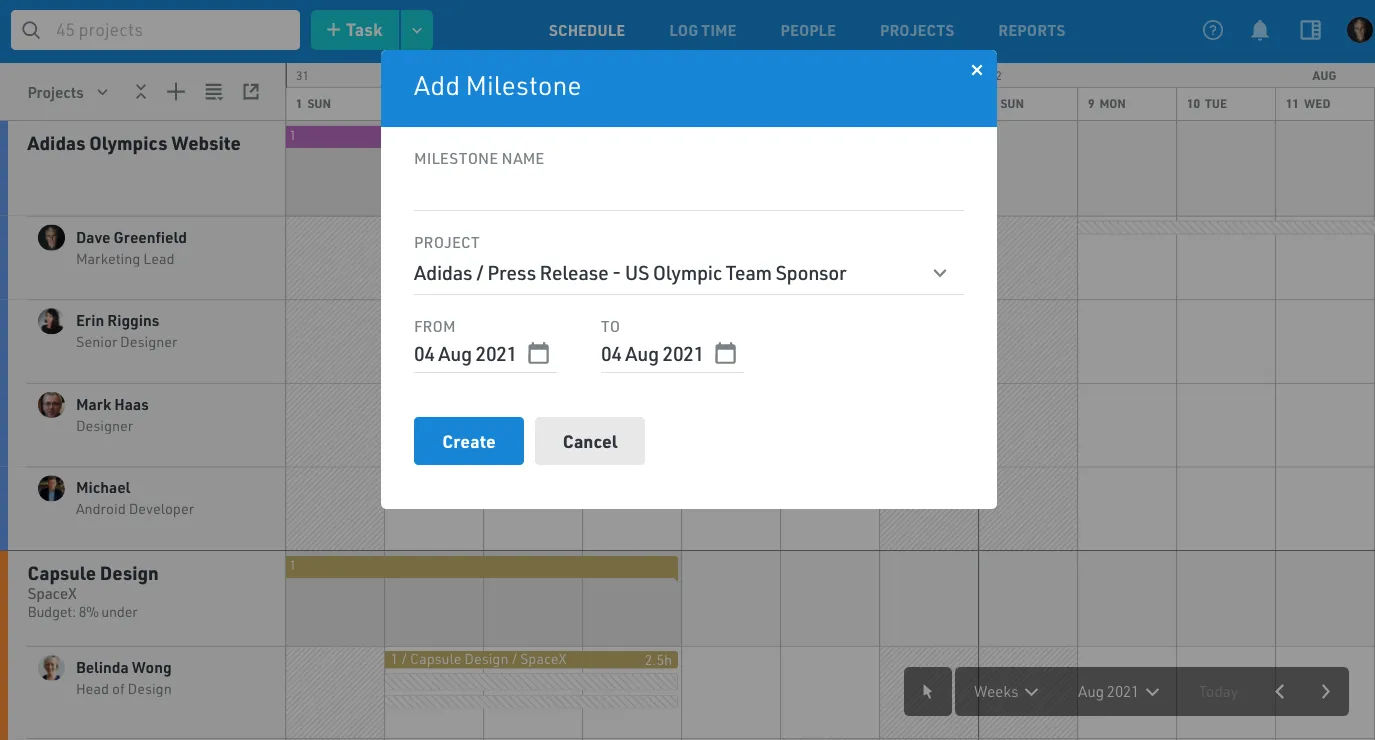 Add project milestones in Float