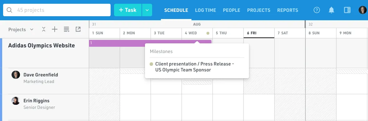 Project milestones in Float