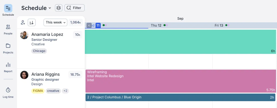 Schedule showing mismatch between team member's skill and task
