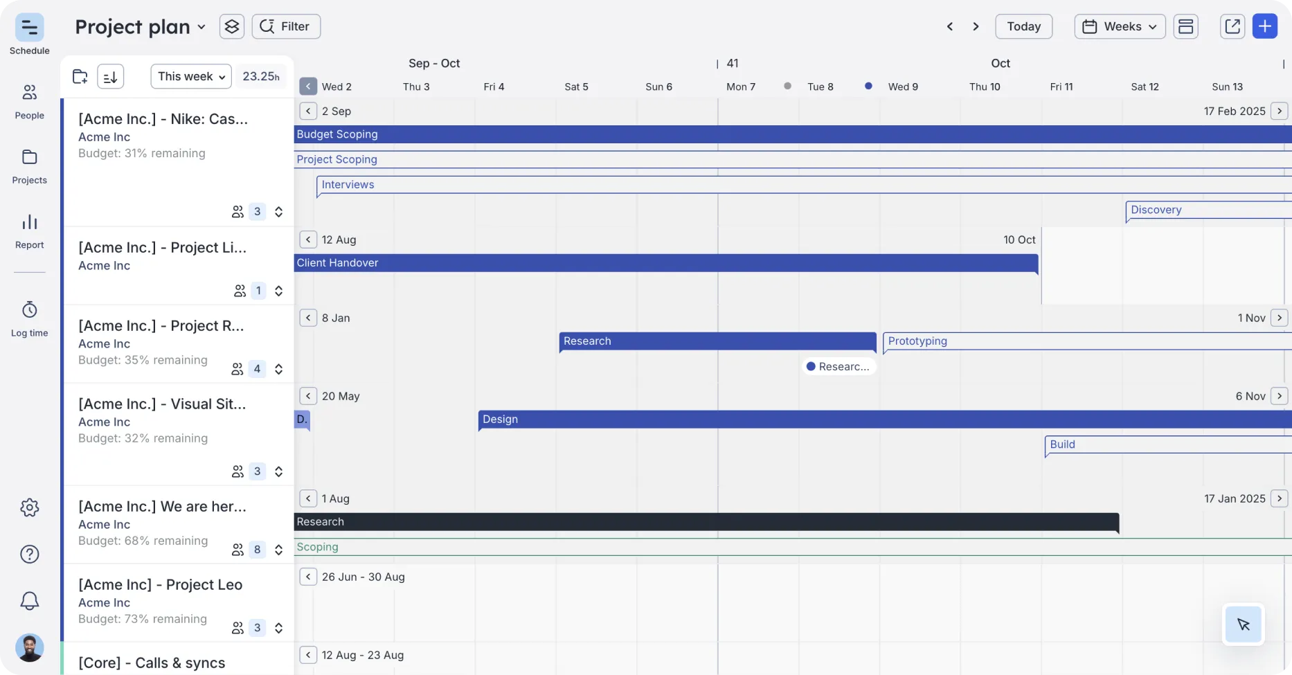 Show tentative versus confirmed phases on the project plan