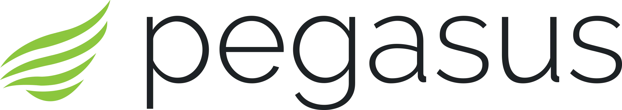 Pegasus Systems