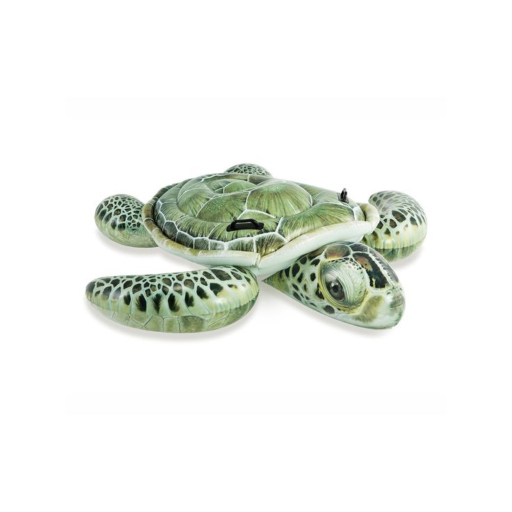 INTEX Realistic Sea Turtle Inflatable Pool Float: Animal Pool Toy ...