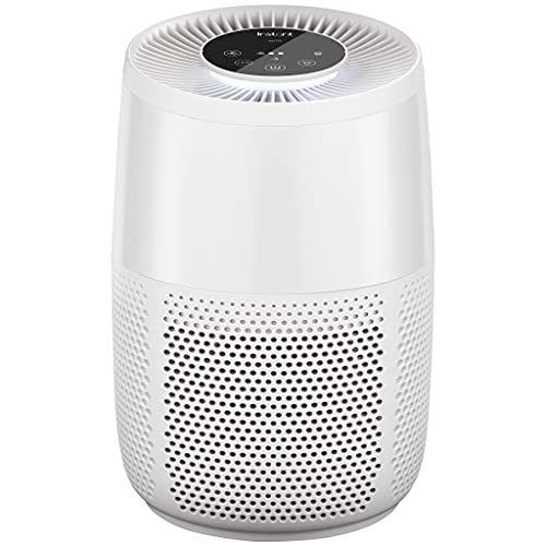 Instant HEPA Quiet Air Purifier, From the Makers of ...