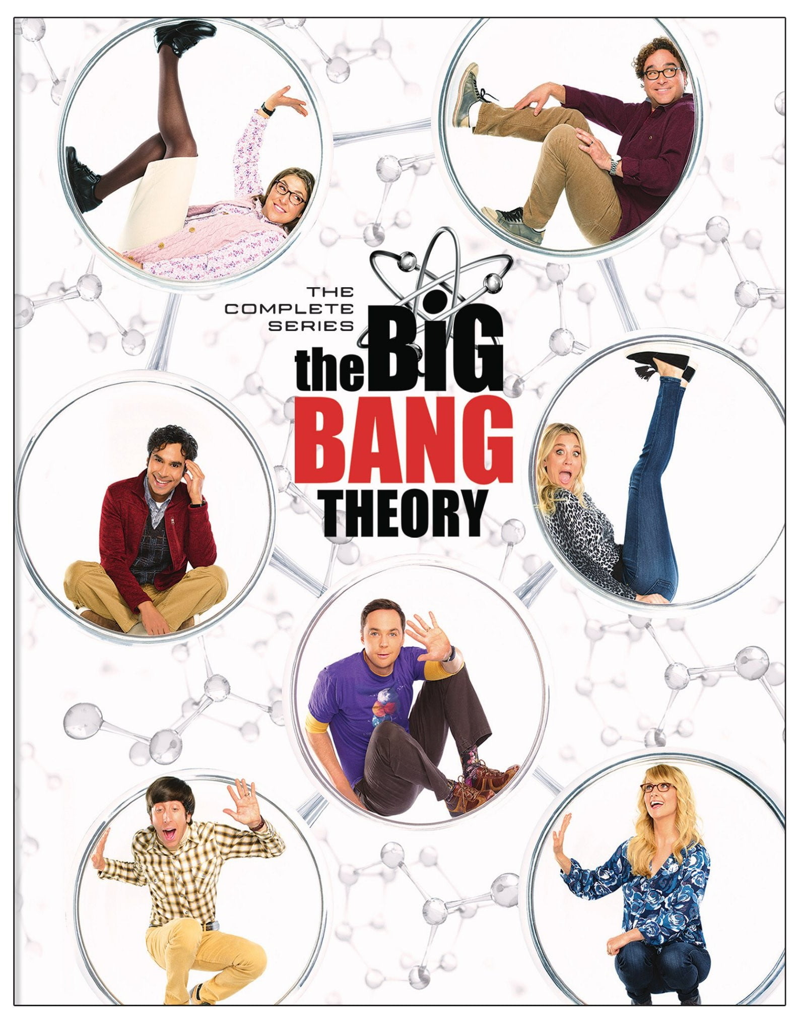 The Big Bang Theory: Complete Series Box Set (DVD) - Walmart.com